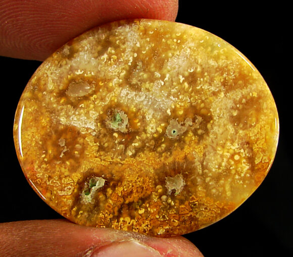 41.80 Ct Natural Fossil Coral Loose Gemstone Stone Cabochon Wire Wrap Stone - 20780 - Image 2