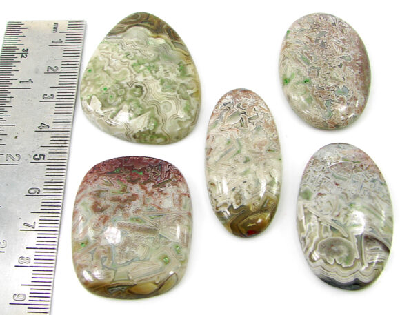 295.15 Ct Natural Crazy Lace Agate Loose Gem 40-45 mm Cabochon 5 Pcs Stone Lot- 20813 - Image 2