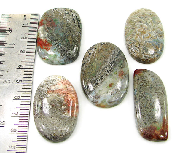 275.50 Ct Natural Crazy Lace Agate Loose Gem 39-43 mm Cabochon 5 Pcs Stone Lot- 20815 - Image 2