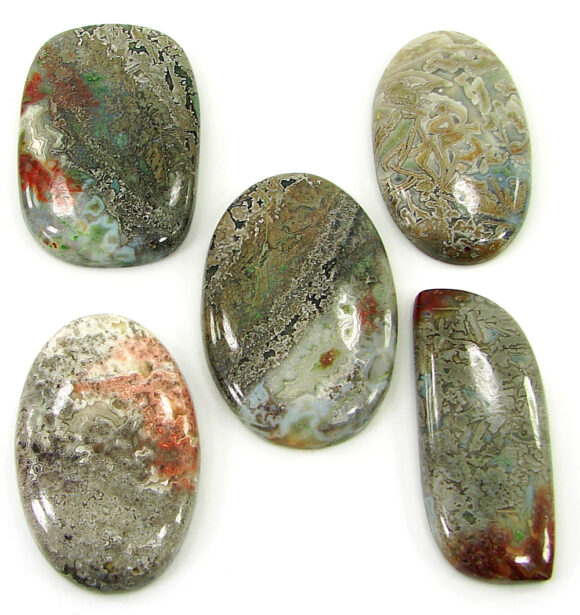 275.50 Ct Natural Crazy Lace Agate Loose Gem 39-43 mm Cabochon 5 Pcs Stone Lot- 20815