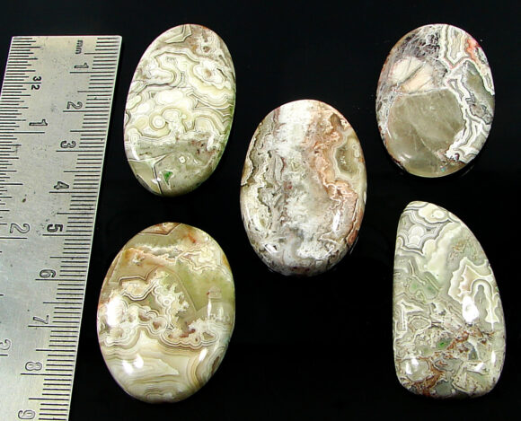 247.80 Ct Natural Crazy Lace Agate Loose Gem 38-43 mm Cabochon 5 Pcs Stone Lot- 20816 - Image 2