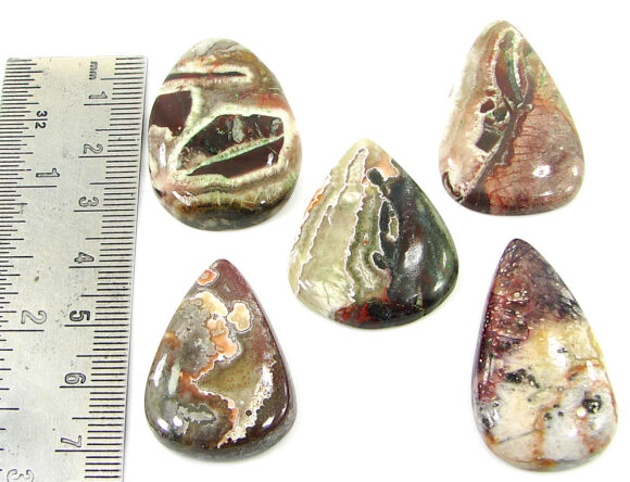 205.45 Ct Natural Crazy Lace Agate Loose Gem 32-38 mm Cabochon 5 Pcs Stone Lot- 20820 - Image 2