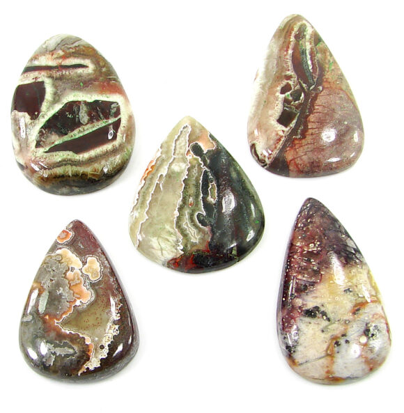 205.45 Ct Natural Crazy Lace Agate Loose Gem 32-38 mm Cabochon 5 Pcs Stone Lot- 20820