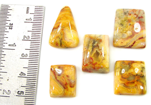 88.80 Ct Natural Crazy Lace Agate Loose Gem 17-23 mm Cab 5 Pcs Stone Lot - 20874 - Image 2