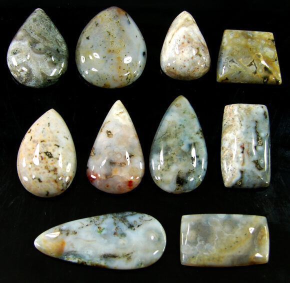 202.05 Ct Natural Ocean Jasper Gemstone 18-37 mm Cabochon 10 Pcs Stone Lot - 21440