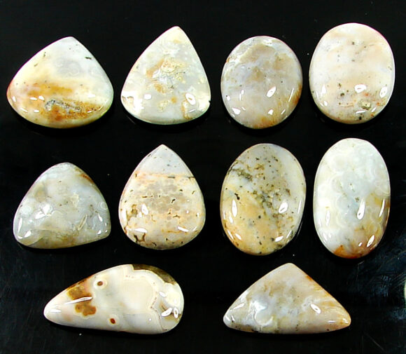 253.05 Ct Natural Ocean Jasper Gemstone 17-31 mm Cabochon 10 Pcs Stone Lot - 21441