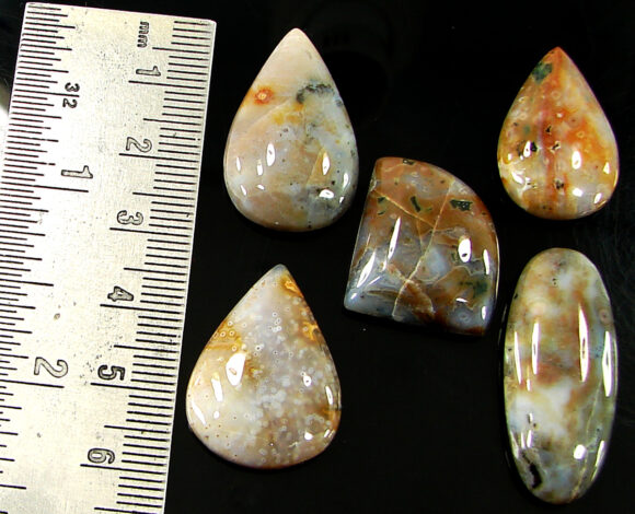 99.35 Ct Natural Ocean Jasper Gemstone 21-32 mm Cabochon 5 Pcs Stone Lot - 21447 - Image 2