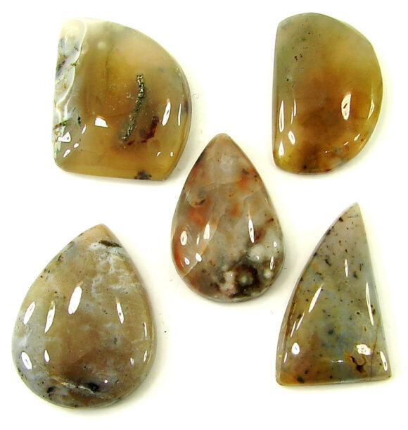 97.80 Ct Natural Ocean Jasper Gemstone 24-26 mm Cabochon 5 Pcs Stone Lot - 21452