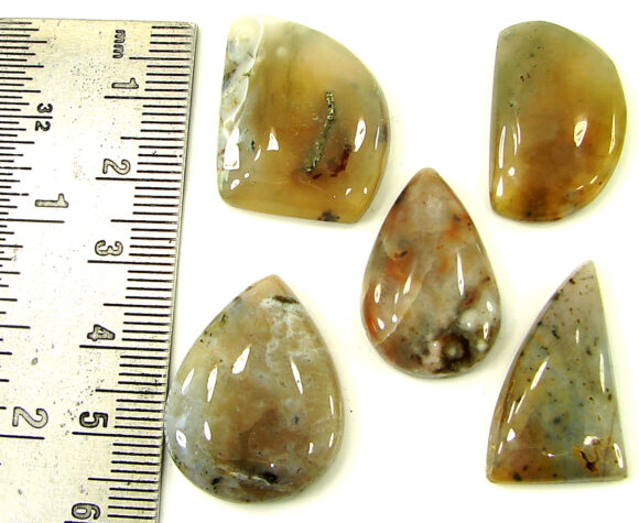 97.80 Ct Natural Ocean Jasper Gemstone 24-26 mm Cabochon 5 Pcs Stone Lot - 21452 - Image 2