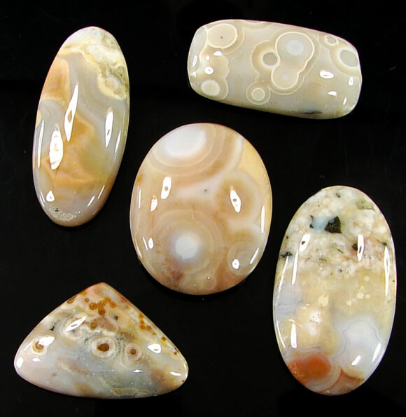 130.00 Ct Natural Ocean Jasper Gemstone 18-33 mm Cabochon 5 Pcs Stone Lot- 21454