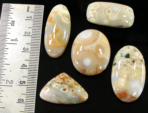 130.00 Ct Natural Ocean Jasper Gemstone 18-33 mm Cabochon 5 Pcs Stone Lot- 21454 - Image 2