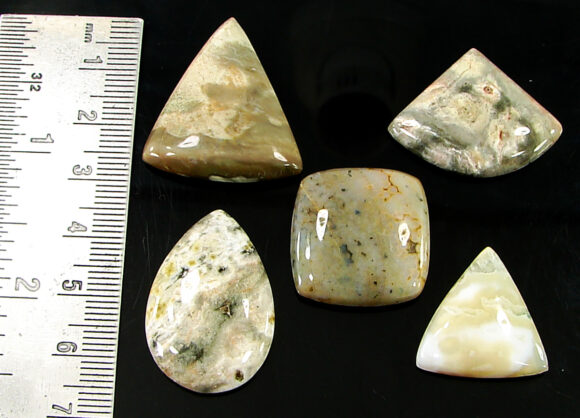 123.90 Ct Natural Ocean Jasper Gemstone 21-30 mm Cabochon 5 Pcs Stone Lot- 21463 - Image 2