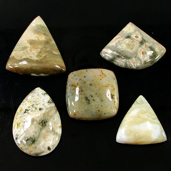 123.90 Ct Natural Ocean Jasper Gemstone 21-30 mm Cabochon 5 Pcs Stone Lot- 21463