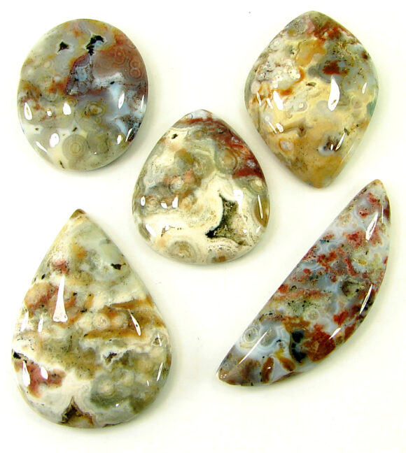 157.35 Ct Natural Ocean Jasper Gemstone 26-41 mm Cabochon 5 Pcs Stone Lot - 21464