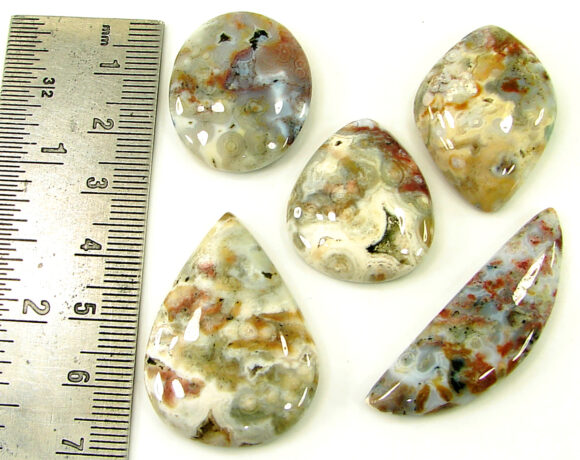 157.35 Ct Natural Ocean Jasper Gemstone 26-41 mm Cabochon 5 Pcs Stone Lot - 21464 - Image 2