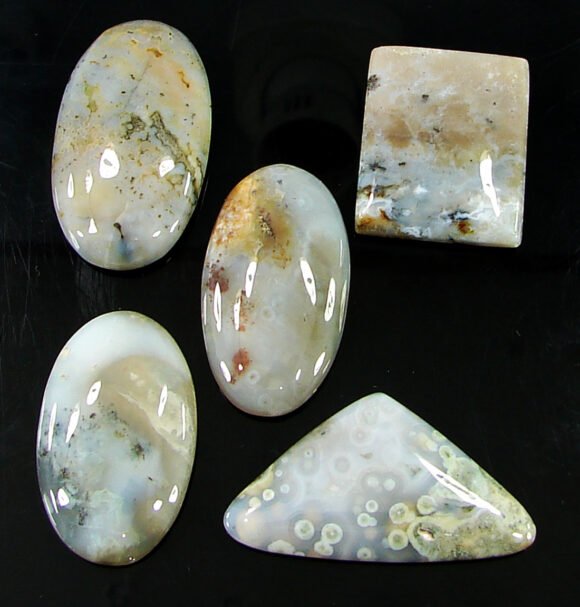 174.75 Ct Natural Ocean Jasper Gemstone 21-35 mm Cabochon 5 Pcs Stone Lot- 21467