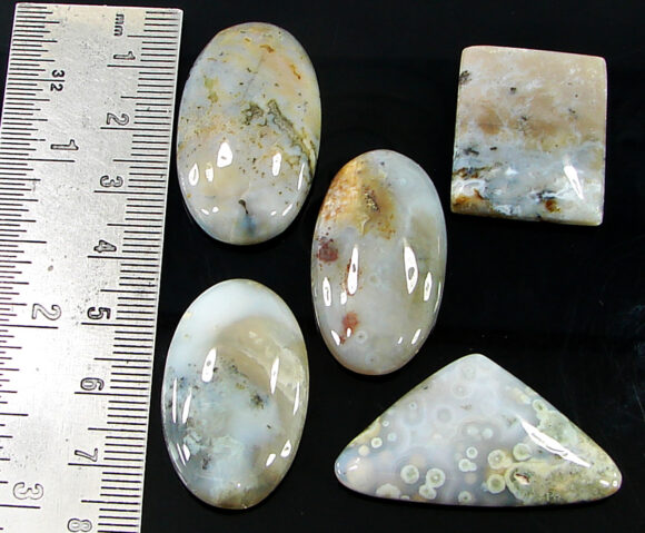 174.75 Ct Natural Ocean Jasper Gemstone 21-35 mm Cabochon 5 Pcs Stone Lot- 21467 - Image 2