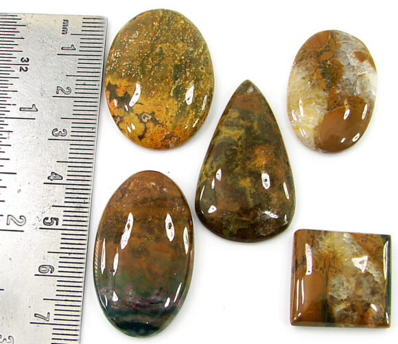 157.05 Ct Natural Ocean Jasper Gemstone 20-36 mm Cabochon 5 Pcs Stone Lot- 21468 - Image 2