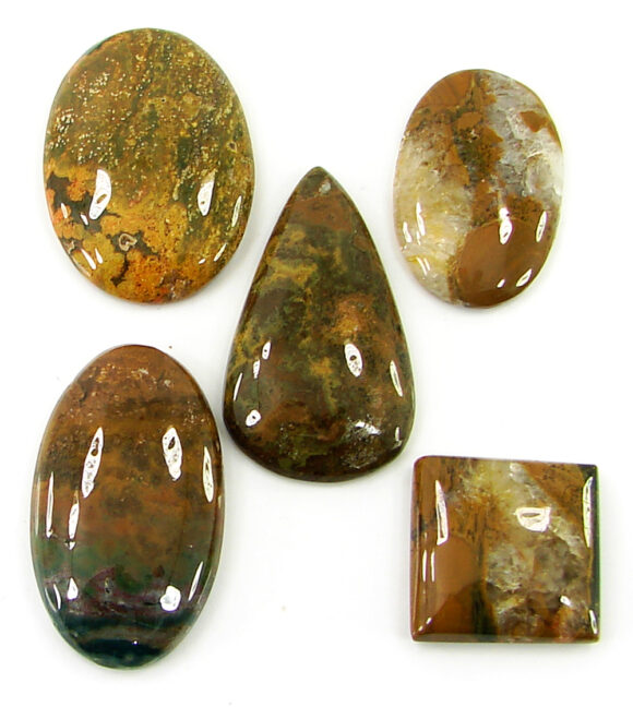 157.05 Ct Natural Ocean Jasper Gemstone 20-36 mm Cabochon 5 Pcs Stone Lot- 21468