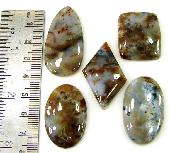 185.95 Ct Natural Ocean Jasper Gemstone 27-40 mm Cabochon 5 Pcs Stone Lot - 21470 - Image 2