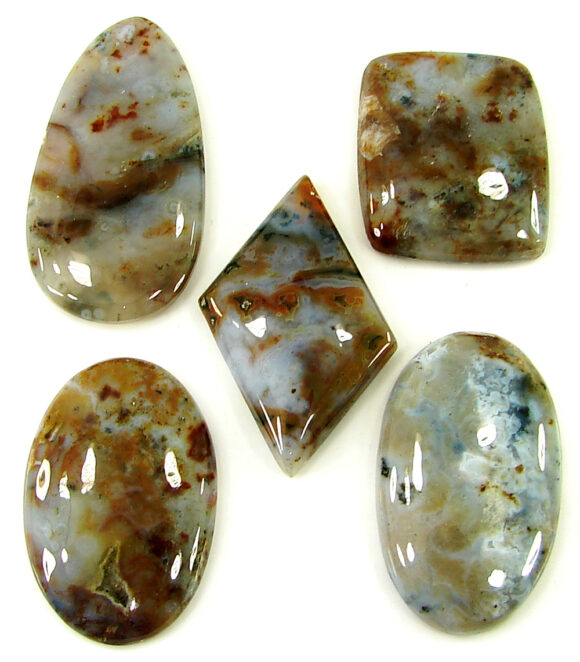 185.95 Ct Natural Ocean Jasper Gemstone 27-40 mm Cabochon 5 Pcs Stone Lot - 21470