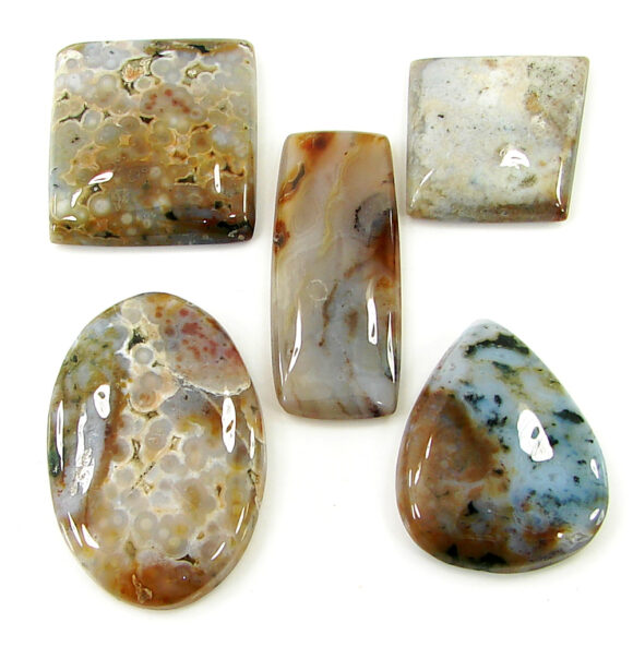 195.55 Ct Natural Ocean Jasper Gemstone 22-37 mm Cabochon 5 Pcs Stone Lot- 21471