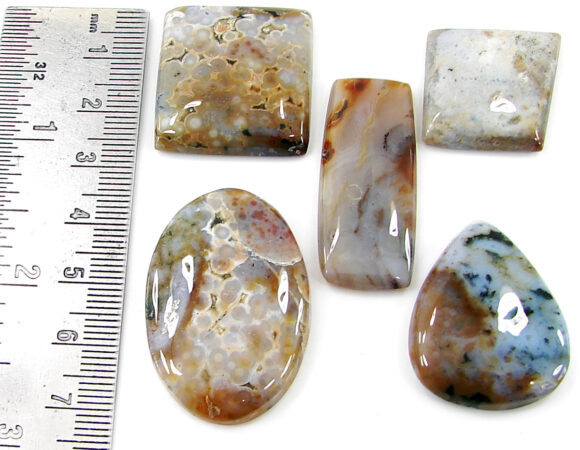 195.55 Ct Natural Ocean Jasper Gemstone 22-37 mm Cabochon 5 Pcs Stone Lot- 21471 - Image 2