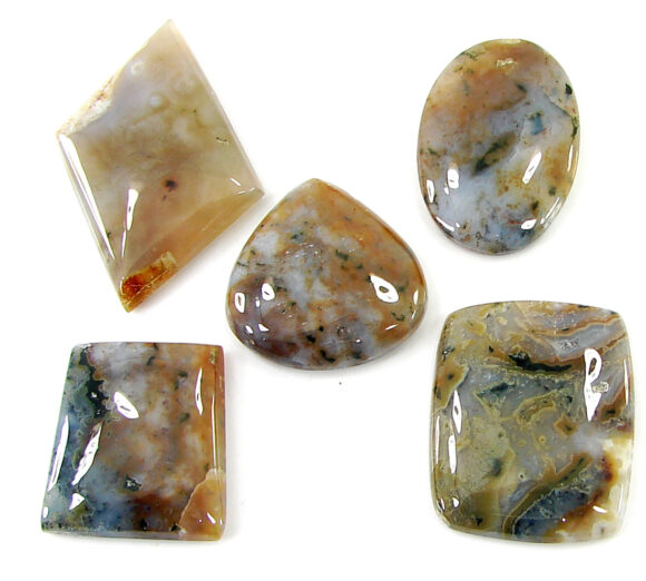 197.10 Ct Natural Ocean Jasper Gemstone 25-42 mm Cabochon 5 Pcs Stone Lot- 21473