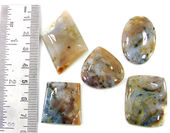 197.10 Ct Natural Ocean Jasper Gemstone 25-42 mm Cabochon 5 Pcs Stone Lot- 21473 - Image 2