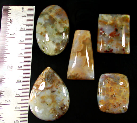 228.55 Ct Natural Ocean Jasper Gemstone 29-42 mm Cabochon 5 Pcs Stone Lot- 21475 - Image 2