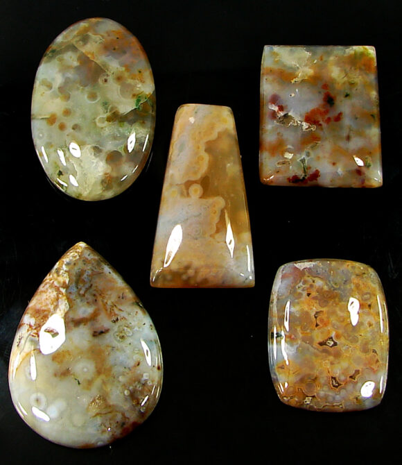 228.55 Ct Natural Ocean Jasper Gemstone 29-42 mm Cabochon 5 Pcs Stone Lot- 21475