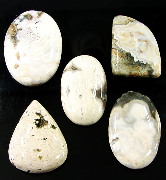 168.20 Ct Natural Ocean Jasper Gemstone 29-36 mm Cabochon 5 Pcs Stone Lot- 21493