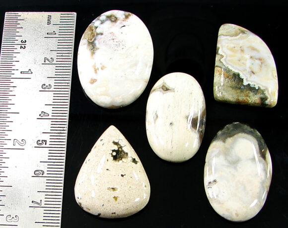 168.20 Ct Natural Ocean Jasper Gemstone 29-36 mm Cabochon 5 Pcs Stone Lot- 21493 - Image 2