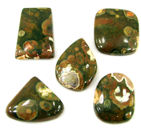 157.75 Ct Natural Rainforest Jasper Loose Gem 24-31 mm Cab 5 Pcs Stone Lot - 21599