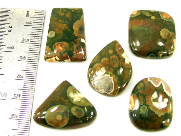 157.75 Ct Natural Rainforest Jasper Loose Gem 24-31 mm Cab 5 Pcs Stone Lot - 21599 - Image 2