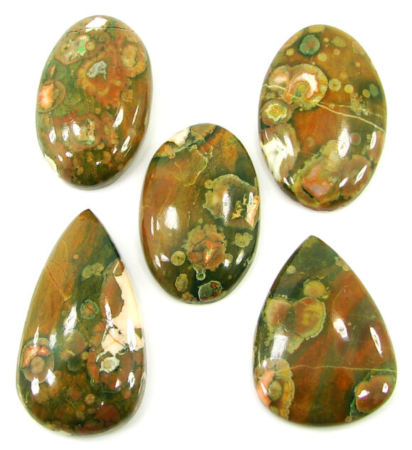 209.70 Ct Natural Rainforest Jasper Loose Gem 34-41 mm Cab 5 Pcs Stone Lot - 21606