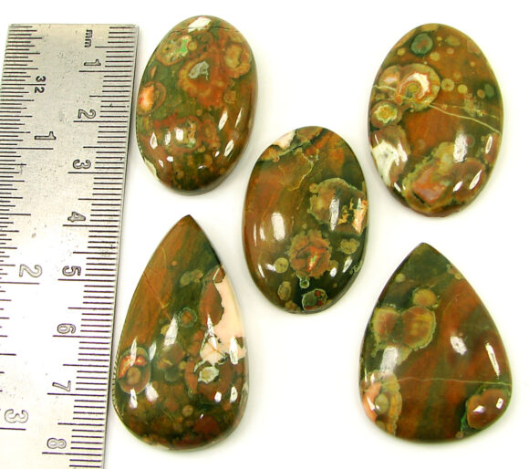 209.70 Ct Natural Rainforest Jasper Loose Gem 34-41 mm Cab 5 Pcs Stone Lot - 21606 - Image 2