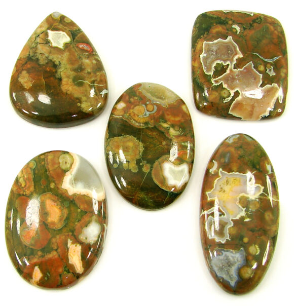 231.95 Ct Natural Rainforest Jasper Loose Gem 34-45 mm Cab 5 Pcs Stone Lot - 21607