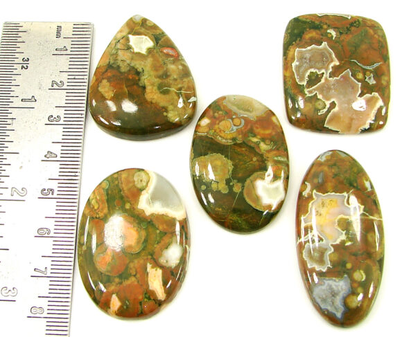 231.95 Ct Natural Rainforest Jasper Loose Gem 34-45 mm Cab 5 Pcs Stone Lot - 21607 - Image 2