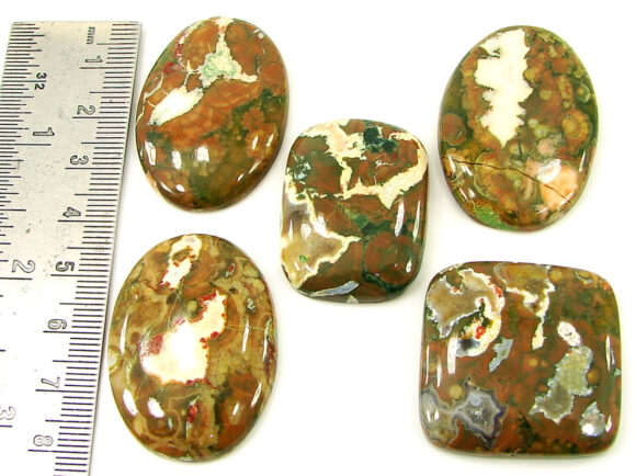 266.00 Ct Natural Rainforest Jasper Loose Gem 32-40 mm Cab 5 Pcs Stone Lot - 21608 - Image 2