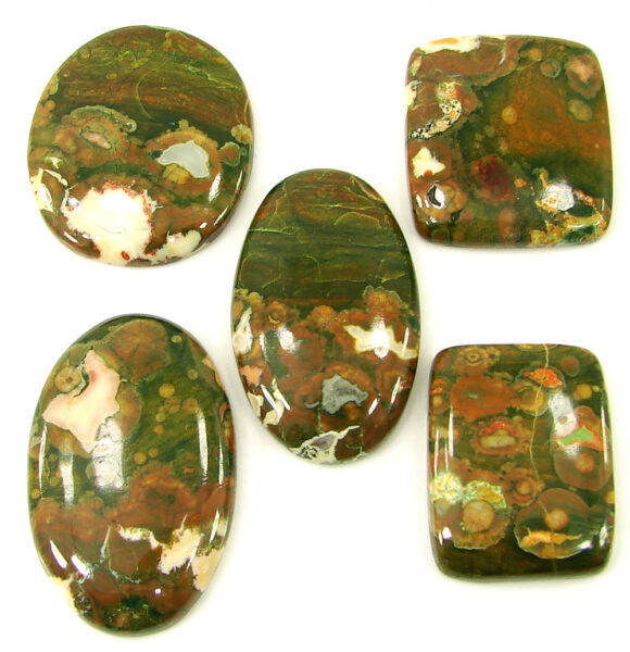 251.00 Ct Natural Rainforest Jasper Loose Gem 31-43 mm Cab 5 Pcs Stone Lot - 21610