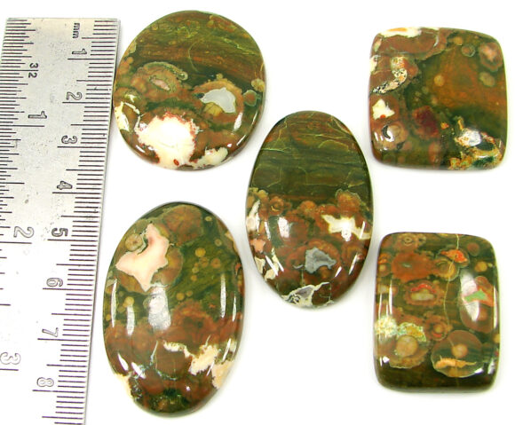 251.00 Ct Natural Rainforest Jasper Loose Gem 31-43 mm Cab 5 Pcs Stone Lot - 21610 - Image 2