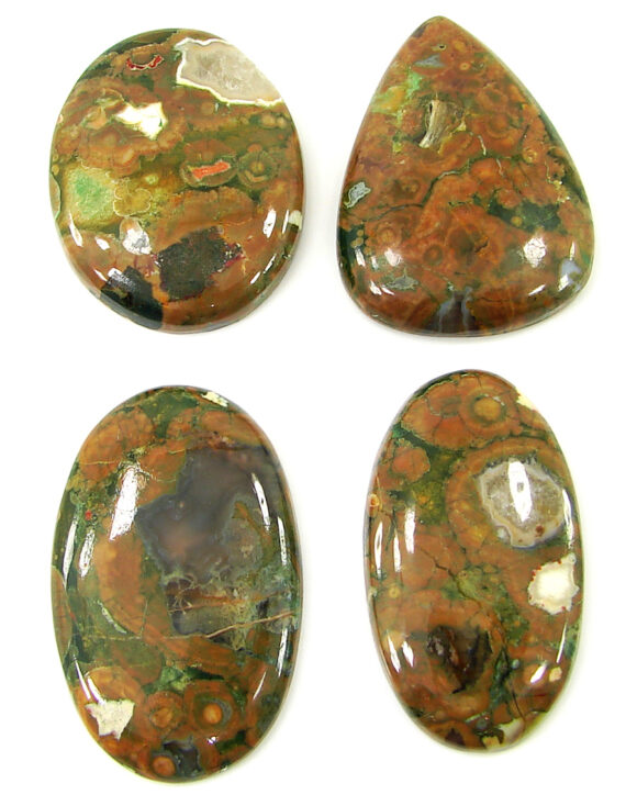 203.30 Ct Natural Rainforest Jasper Loose Gem 37-43 mm Cab 4 Pcs Stone Lot - 21613