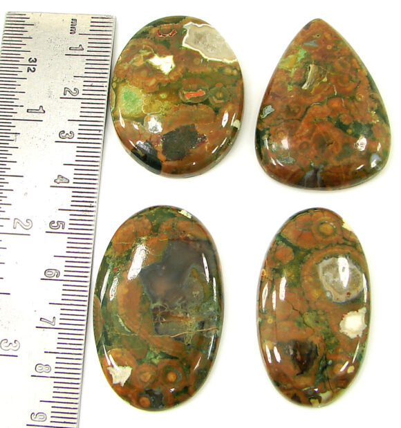 203.30 Ct Natural Rainforest Jasper Loose Gem 37-43 mm Cab 4 Pcs Stone Lot - 21613 - Image 2