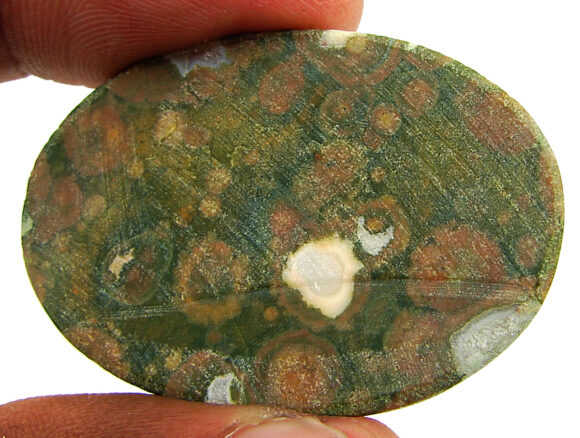 52.25 Ct Natural Rainforest Jasper Rhyolite Gemstone Cabochon Wire Wrap - 21630 - Image 2