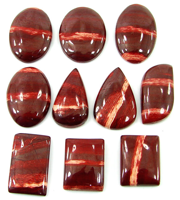 315.50 Ct Natural Snake Skin Jasper Loose Gemstone 23-31 mm Cabochon 10 Pcs Lot - 21778