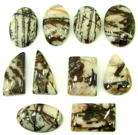 208.85 Ct Natural Coco Jasper Loose Gemstone 24-29 mm Cabochon 10 Pcs Lot - 21895