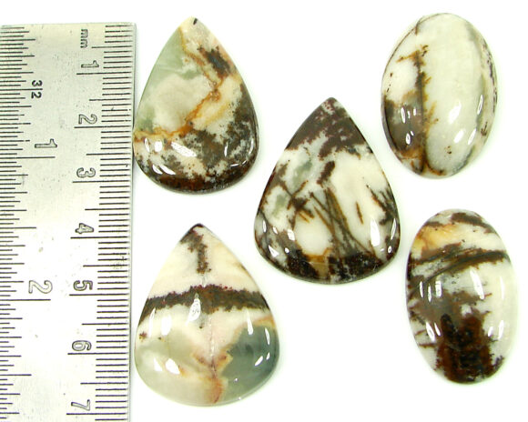 150.20 Ct Natural Coco Jasper Loose Gemstone 30-33 mm Cabochon 5 Pcs Lot - 21901 - Image 2