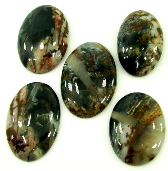 194.90 Ct Natural Coco Jasper Loose Gemstone 32-36 mm Cabochon 5 Pcs Lot - 21915