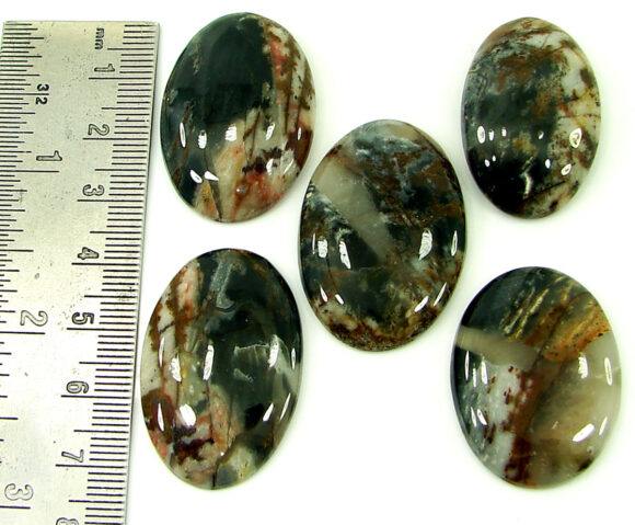 194.90 Ct Natural Coco Jasper Loose Gemstone 32-36 mm Cabochon 5 Pcs Lot - 21915 - Image 2